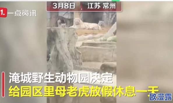 吕总的扣鱼鳃最简单回应引发热议,网友纷纷表示支持与质疑,认为其言论反映了社会对传统文化的不同理解 吕总的扣鱼鳃最简单回应引发热议,网友纷纷表示支持与质疑,认为其言论反映了社会对传统文化的不同理解