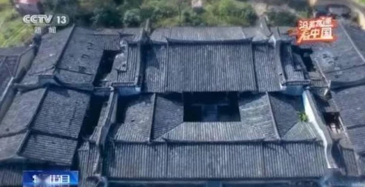 日本jjzz：网友热议这一现象背后的文化影响与社会反响，探讨其对年轻一代的意义与价值观形成