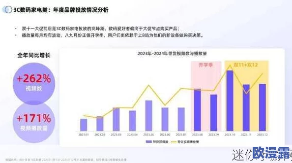 B站推广网站2024mmm的深度解析与未来发展趋势探讨