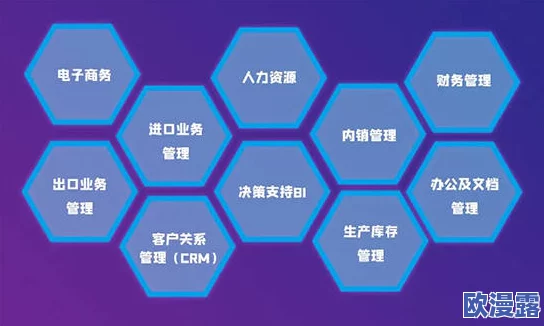 优质jyh系统助力企业数字化转型，提升管理效率与决策能力的全新解决方案发布