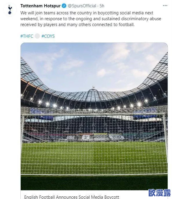 海角推特：全球社交媒体平台的崛起与挑战，如何影响我们的沟通方式和信息传播？