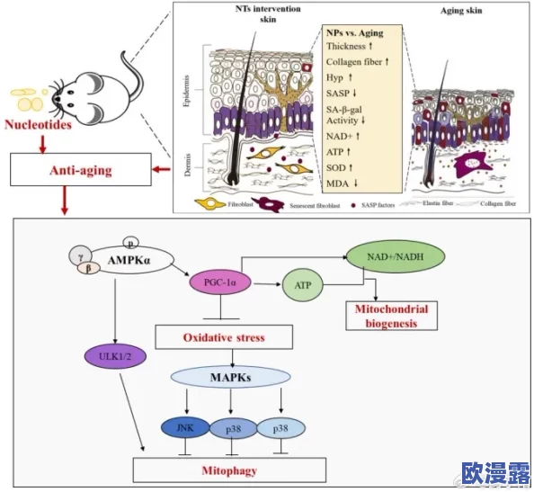 痉挛口吐白沫6人组实验内容详解:最新研究进展与结果分析,揭示潜在机制与影响因素 痉挛口吐白沫6人组实验内容详解:最新研究进展与结果分析,揭示潜在机制与影响因素