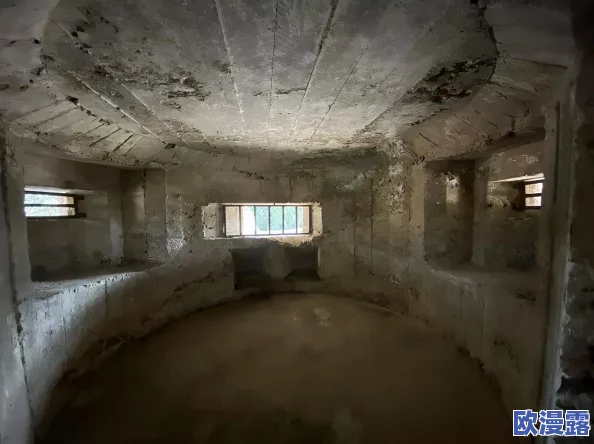 大长径视频1080p：网友热议，内部消息曝光，惊人真相令人震惊