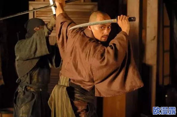 流浪武士毕业武器：从传统武器到现代装备的演变与应用分析，解析武士精神的传承与发展