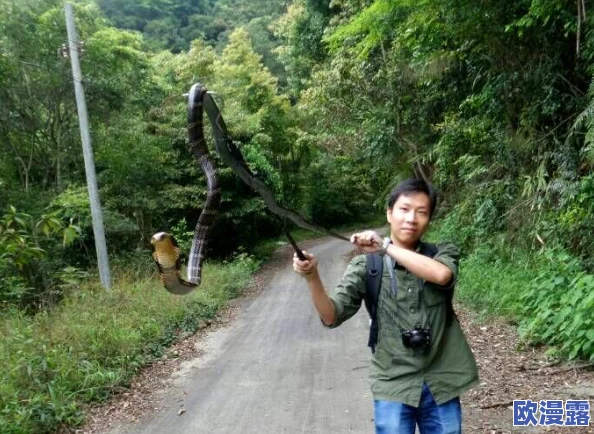 蛇王的尾巴高ah:网友热议这一现象,认为其背后可能隐藏着深刻的文化寓意与生态警示,引发广泛讨论 蛇王的尾巴高ah:网友热议这一现象,认为其背后可能隐藏着深刻的文化寓意与生态警示,引发广泛讨论