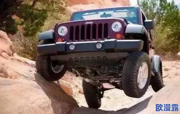 桃红色jeep界：探讨桃红色在越野车文化中的独特魅力与市场影响力分析