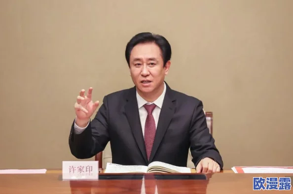 许家印玩白册册戴套吗？最新进展揭示其背后复杂的商业运作与市场反应