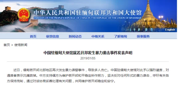 缅甸杀人网站www：分析其背后的暴力文化与网络犯罪现象对社会安全的影响