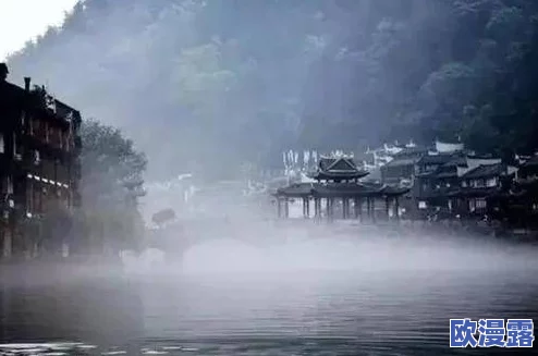 老人船上弄雨荷，悠然自得的时光在水面荡漾，映照出岁月的静谧与自然的和谐