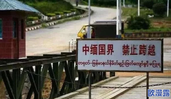 缅北北部血腥2023黑网:分析缅甸北部地区的网络犯罪现象与其对当地安全局势的影响 缅北北部血腥2023黑网:分析缅甸北部地区的网络犯罪现象与其对当地安全局势的影响