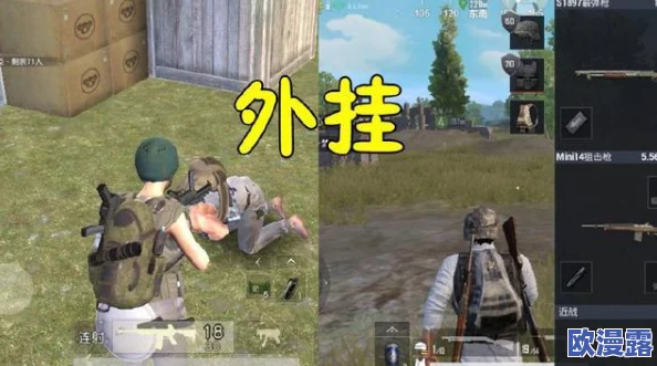 荒野求生模拟器:高效利用多余精力策略与实战攻略指南 荒野求生模拟器:高效利用多余精力策略与实战攻略指南