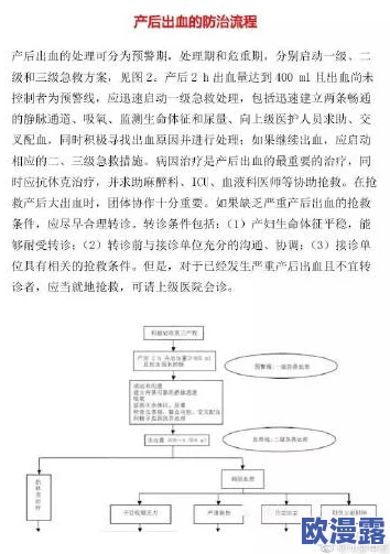 破苞XXXX出血HD:探讨产后出血的原因、处理方法及预防措施的综述与研究分析 破苞XXXX出血HD:探讨产后出血的原因、处理方法及预防措施的综述与研究分析