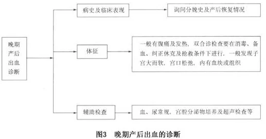 破苞XXXX出血HD:探讨女性在分娩过程中可能出现的破苞现象及其相关出血情况,分析对母婴健康的影响 破苞XXXX出血HD:探讨女性在分娩过程中可能出现的破苞现象及其相关出血情况,分析对母婴健康的影响