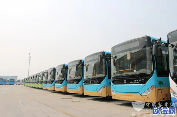 真人强 112分钟国产公交车:探讨中国公共交通发展与城市化进程的关系及其对社会生活的影响 真人强 112分钟国产公交车:探讨中国公共交通发展与城市化进程的关系及其对社会生活的影响