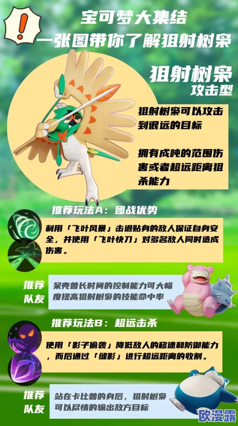 宝可梦大集结中狙射树枭的高效玩法与策略指南
