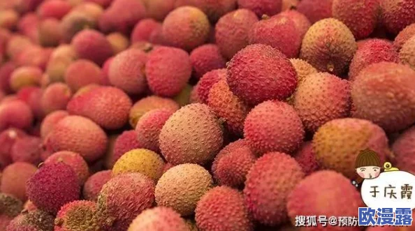绿巨人樱桃荔枝青青草的功效：增强免疫力、抗氧化特性及促进消化吸收的多重益处分析