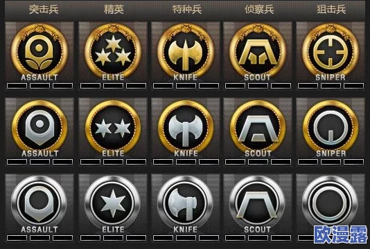 全面解析：如何解锁穿越火线游戏中的等级图标与成就标识