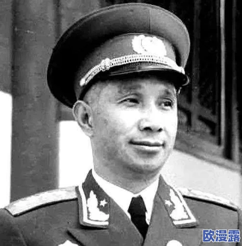 搡BBBB 搡BBB：探讨现代社会中人际关系的复杂性与情感交互的多样化表现形式