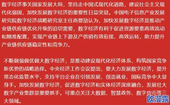 欧美掇BBBBB掇BBBBB：对比分析西方国家在数字经济发展中的政策与实践的影响及其启示