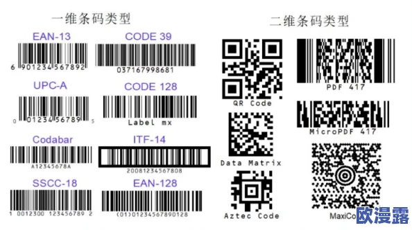 91无人区码一码二码三码的特点及其在数据传输中的应用与优势分析