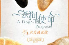 皇上被赐精给狗狗的小说背景:宫廷秘事曝光,竟然隐藏着不为人知的爱情故事与权力斗争! 皇上被赐精给狗狗的小说背景:宫廷秘事曝光,竟然隐藏着不为人知的爱情故事与权力斗争!