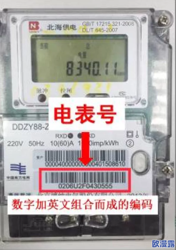 老头三色电费202：分析不同颜色电表对家庭用电管理的影响与节能效果研究