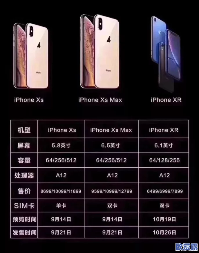 xsmax视频播放时长分析：如何优化观看体验与提升用户满意度的有效策略