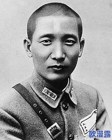 《钢铁指挥官》游戏中增援机制的核心特点与优势全面介绍
