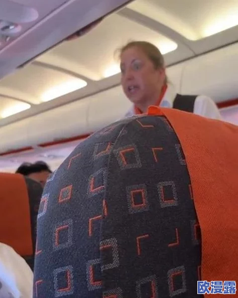 法国空乘2019法版英文名字：解析该版本中法国航空公司空乘人员的官方英文名称及其背后的意义与影响