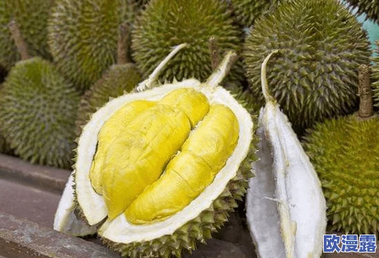 榴莲视频污在线观看：探讨榴莲视频平台的内容特色与用户体验分析，揭示其受欢迎的背后原因与市场趋势