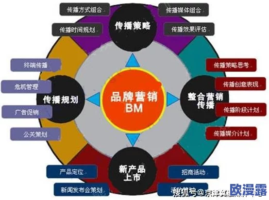 大象伊甸传媒有限公司：在数字时代如何塑造品牌形象与传播策略的创新之路