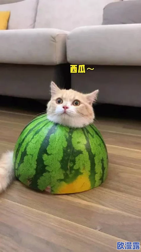 震惊！911吃瓜爆料官网小僵尸柚子猫竟然曝光了惊人的秘密，网友纷纷热议！