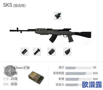 地铁逃生游戏中SKS步枪使用哪个枪口配件最稳定高效