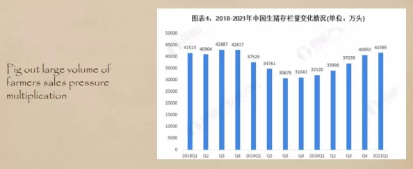 XⅩXX日本：探讨日本文化、经济与社会发展的多元视角及其在全球化背景下的独特影响力