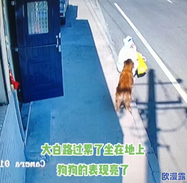 县城市场旱厕大白屁股偷拍：知情人士称泄露视频或涉及当地政府高官隐私
