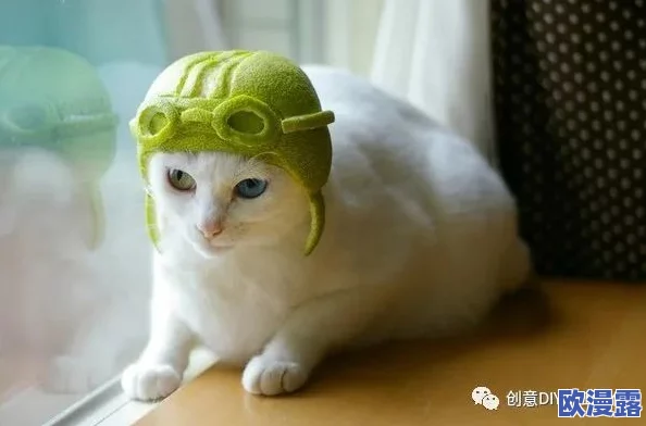 柚子猫雷电将军被爆炒,网友惊呼:竟然还有这种操作,背后真相让人跌破眼镜! 柚子猫雷电将军被爆炒,网友惊呼:竟然还有这种操作,背后真相让人跌破眼镜!