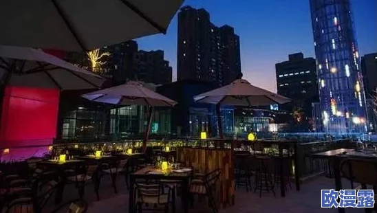 意大利《酒店服务生》爆料：背后隐藏的行业秘密与不为人知的服务生故事令人震惊！