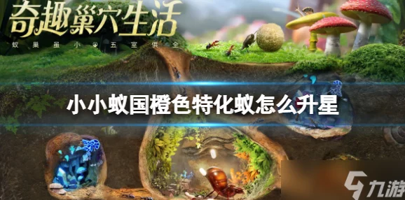 《小小蚁国》前期橙色特化蚁高效培养全攻略:揭秘打造无敌强大蚁群的秘诀 《小小蚁国》前期橙色特化蚁高效培养全攻略:揭秘打造无敌强大蚁群的秘诀