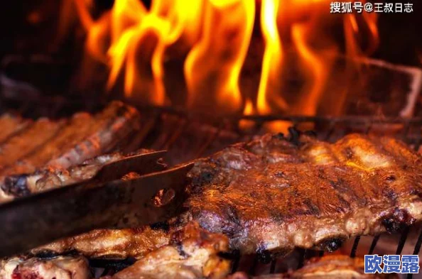 肉质高干的高质量的古代：考古发现古代美食遗址，揭示神秘肉类烹饪技艺与饮食文化的奥秘！