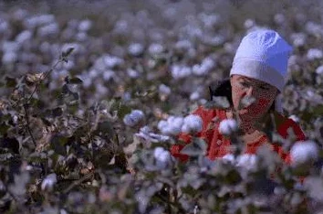 耕种妈妈肥沃的土地美国:意外发现可持续农业的新方法,助力全球粮食安全! 耕种妈妈肥沃的土地美国:意外发现可持续农业的新方法,助力全球粮食安全!