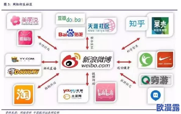 91黑料社区：探索网络社交平台的发展与用户隐私保护问题的深度分析与思考
