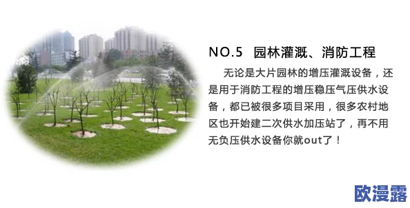 小草2024回家不迷路:如何在复杂的城市环境中找到归属感与方向感,助力每一个心灵的归途 小草2024回家不迷路:如何在复杂的城市环境中找到归属感与方向感,助力每一个心灵的归途