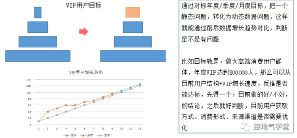 by72777新域名是啥？了解这个新域名的背景、用途以及对用户的影响，帮助你更好地理解其重要性