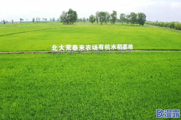 2024年经典单机农场游戏回顾：那些年我们追过的农场手游叫什么名字
