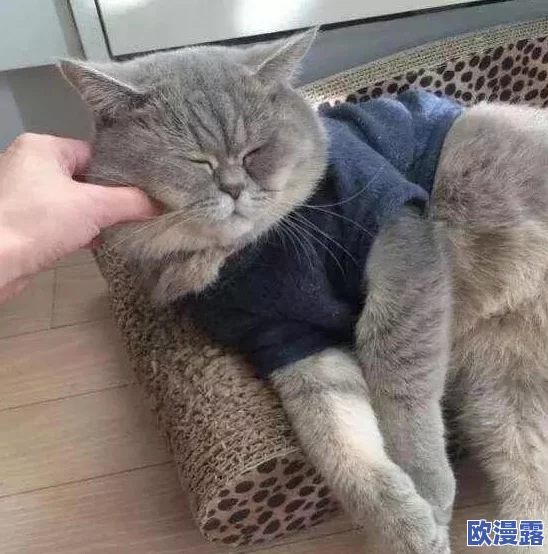 震惊!亲嘴揉胸口激烈视频曝光,引发网友热议,众人纷纷表示无法直视,背后真相令人意外! 震惊!亲嘴揉胸口激烈视频曝光,引发网友热议,众人纷纷表示无法直视,背后真相令人意外!