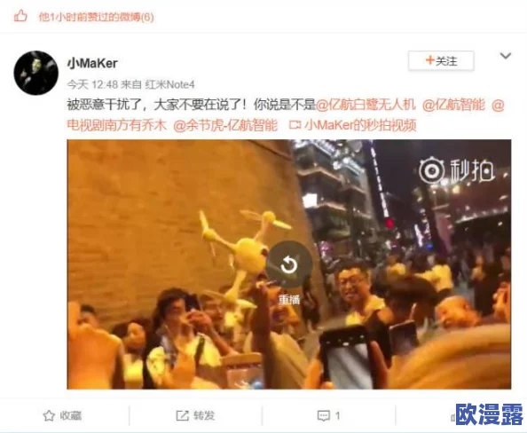 超级乱淫婚礼：惊现多名陌生人闯入现场，场面失控引发混乱，宾客纷纷逃离！