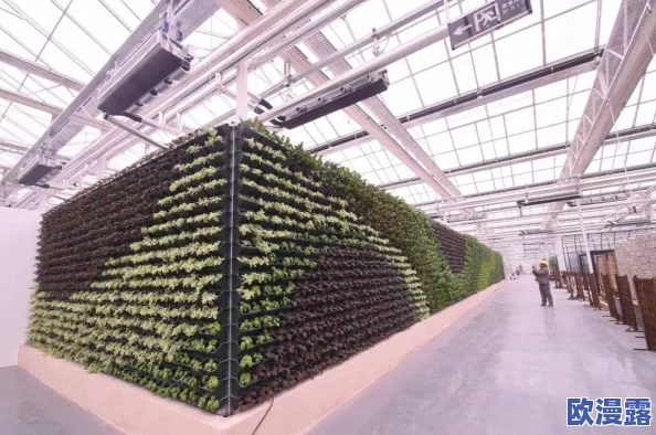 三角洲行动:航天基地内隐秘协议箱的具体藏匿位置探寻 三角洲行动:航天基地内隐秘协议箱的具体藏匿位置探寻