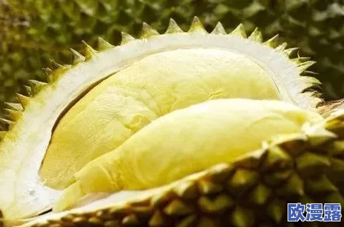 榴莲视频黄色网站惊爆:全球用户突破千万,内容引发热议与争议,背后真相令人震惊! 榴莲视频黄色网站惊爆:全球用户突破千万,内容引发热议与争议,背后真相令人震惊!