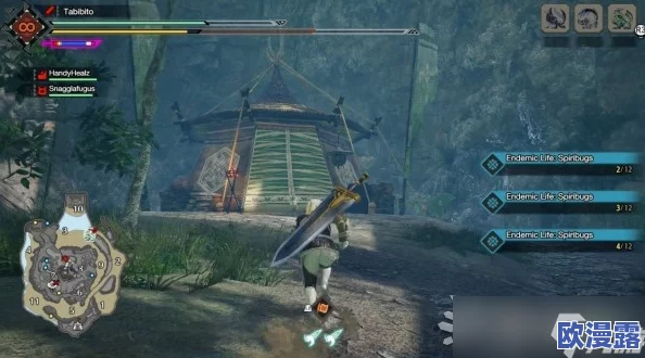 怪物猎人曙光:如何选择最佳的侦查地点以开启冒险之旅 怪物猎人曙光:如何选择最佳的侦查地点以开启冒险之旅