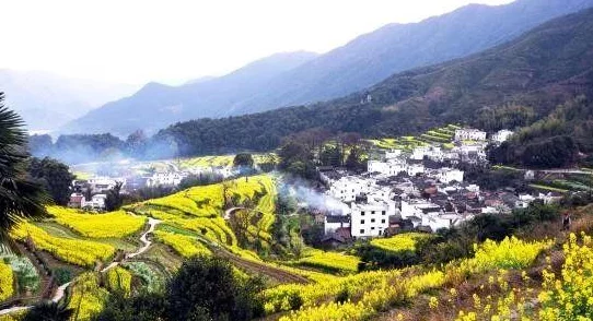 久久久青草青青亚洲国产免观"引发热议,网友惊呼:竟然隐藏着如此震撼的真相,令人难以置信! 久久久青草青青亚洲国产免观"引发热议,网友惊呼:竟然隐藏着如此震撼的真相,令人难以置信!